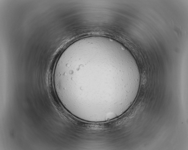 X0000113300347200909140950