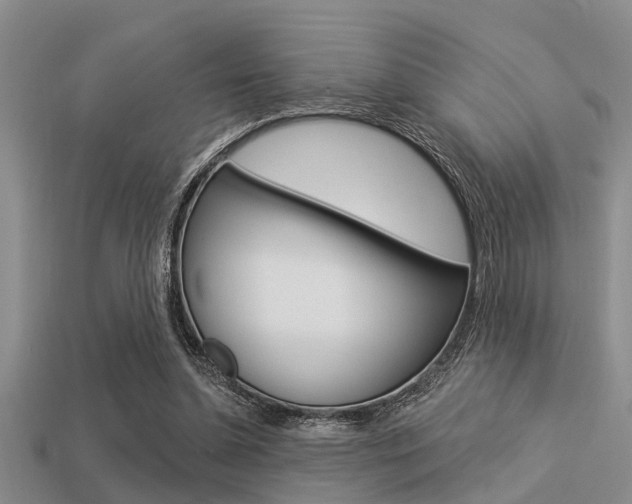X0000113300348200909140950