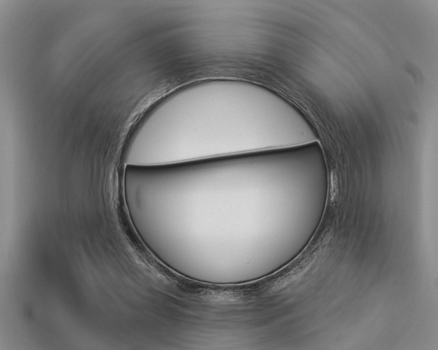 X0000113300349200909140950
