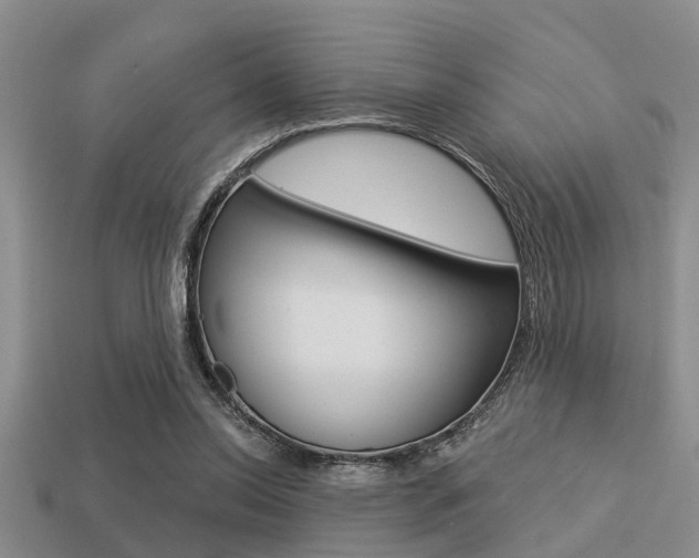 X0000113300350200909140950