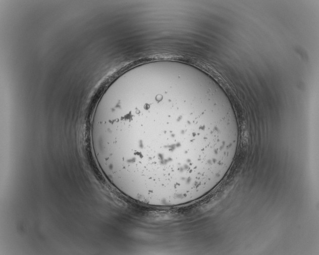 X0000113300351200909140950