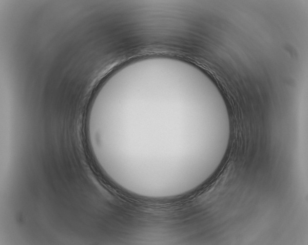 X0000113300352200909140950