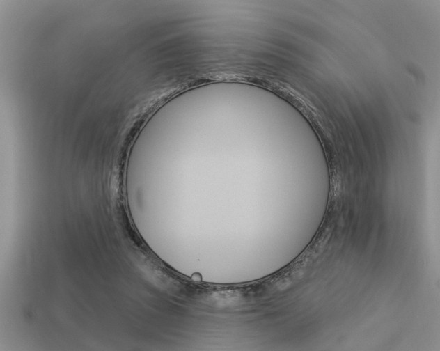 X0000113300353200909140950