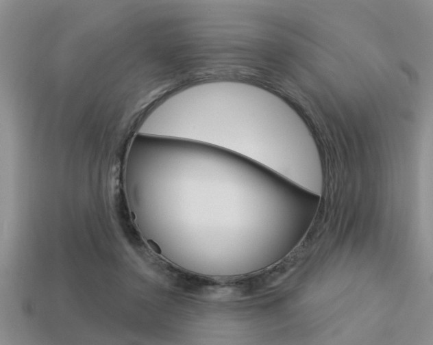 X0000113300356200909140950