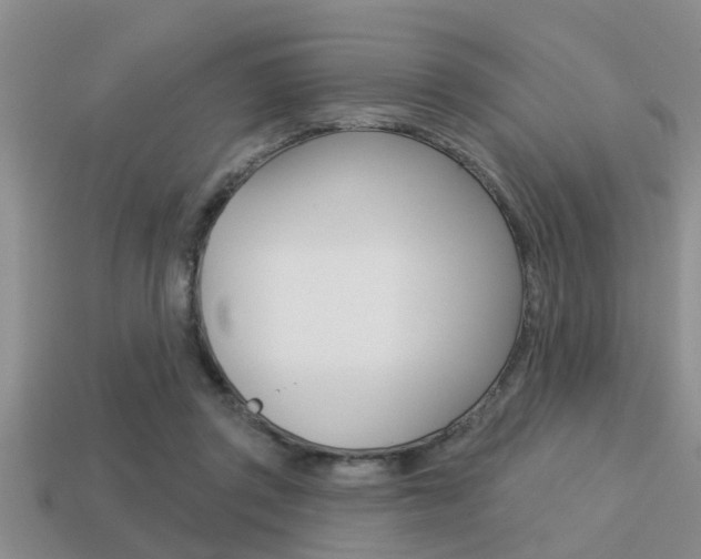 X0000113300357200909140950