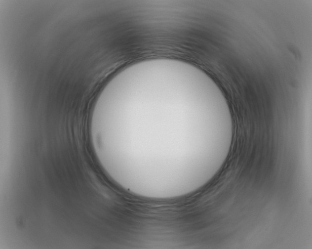 X0000113300360200909140950