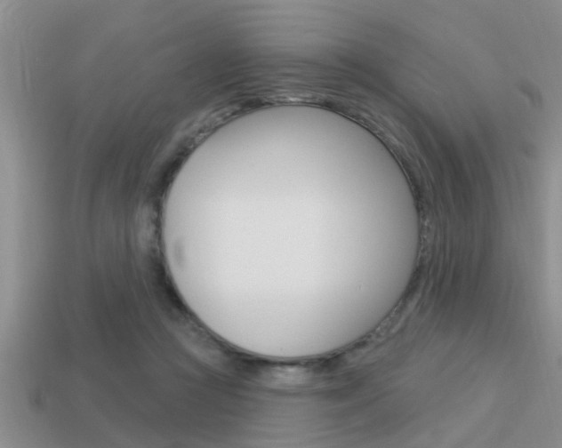 X0000113300361200909140950