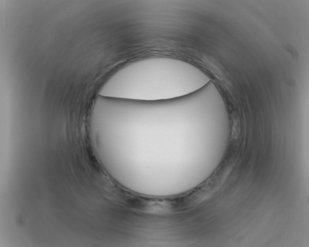 X0000113300363200909140950