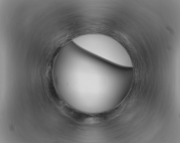X0000113300364200909140950