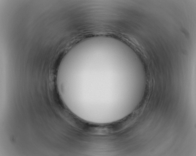 X0000113300366200909140950