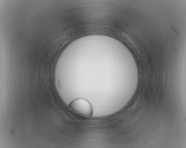 X0000113300368200909140950