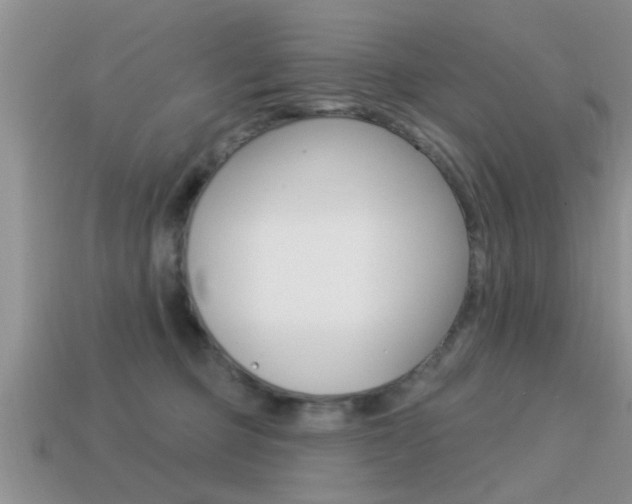 X0000113300373200909140950