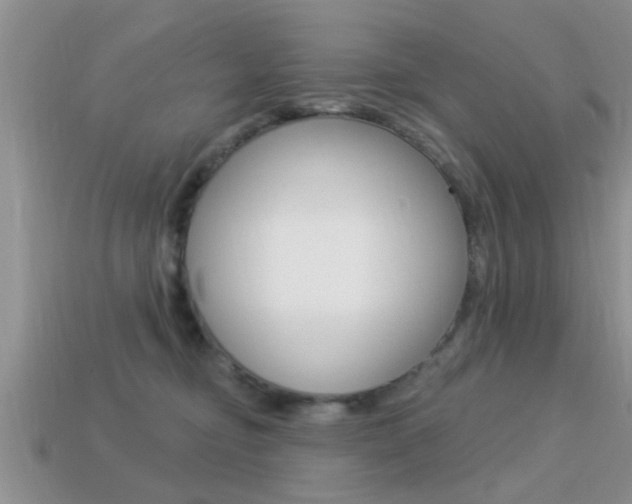 X0000113300374200909140950