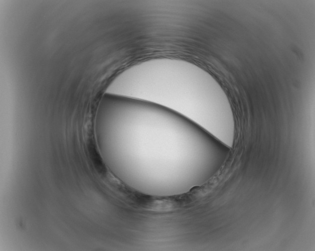 X0000113300376200909140950