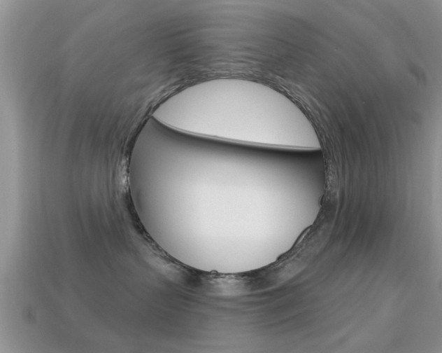 X0000113300383200909140950