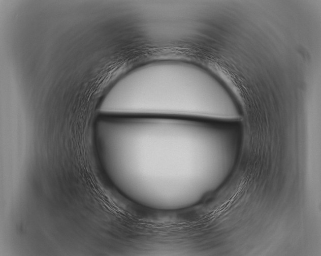 X0000113300385200909140949