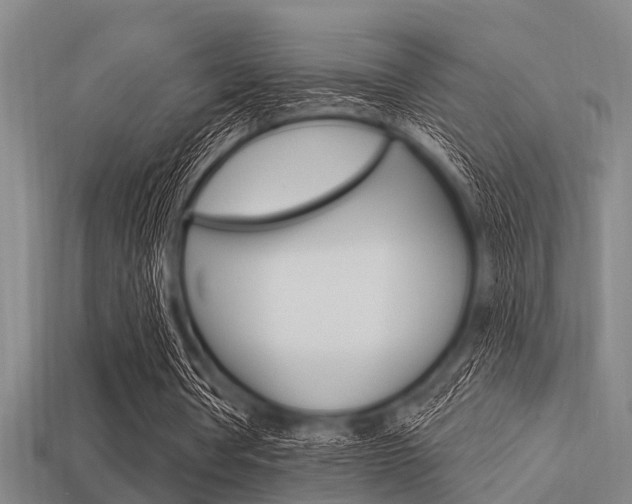 X0000113300386200909140949
