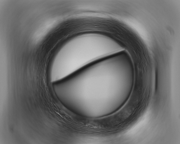 X0000113300387200909140949