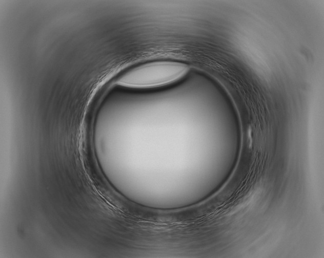 X0000113300388200909140949