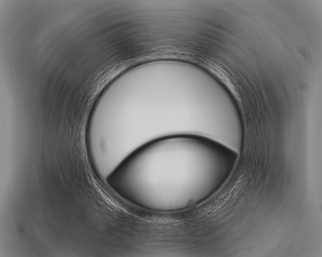 X0000113300389200909140949