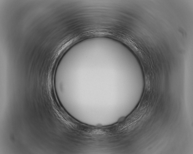 X0000113300390200909140949