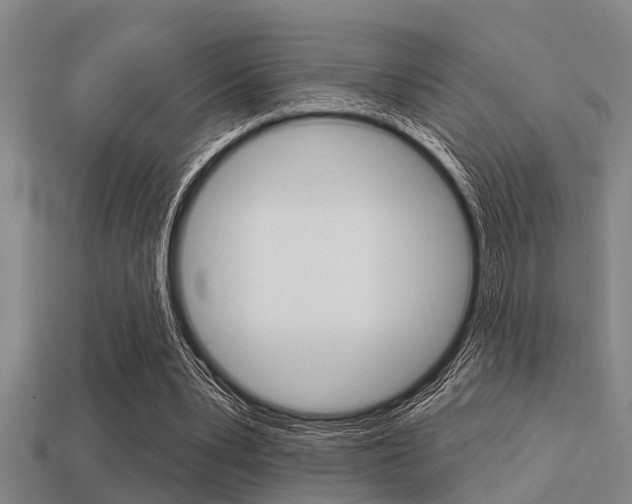 X0000113300391200909140949