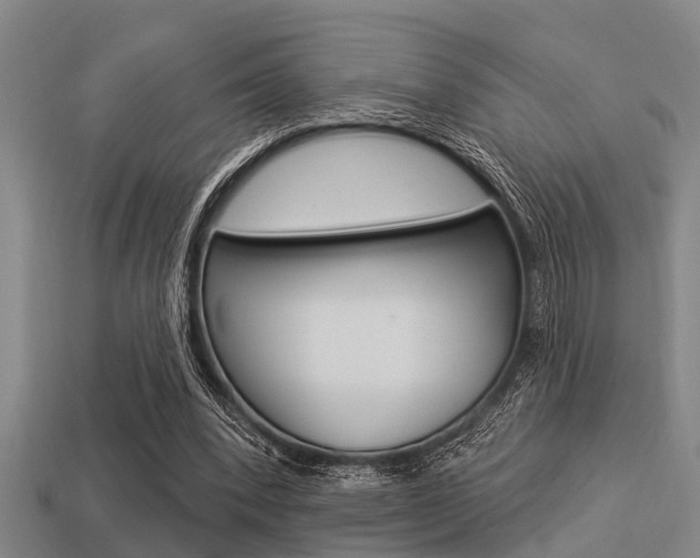 X0000113300392200909140949