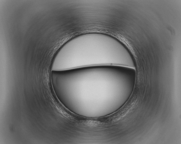 X0000113300393200909140949