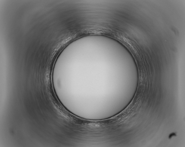 X0000113300394200909140949