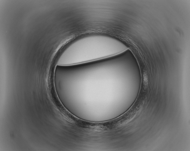 X0000113300396200909140949