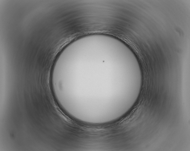 X0000113300397200909140949