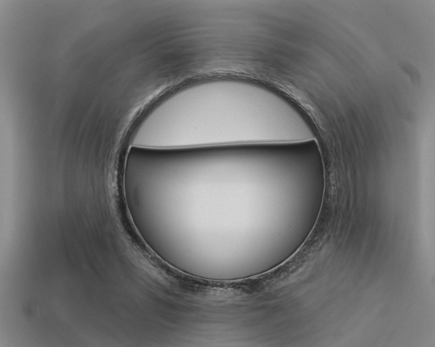 X0000113300399200909140949