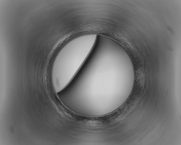 X0000113300400200909140949