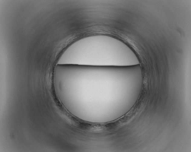 X0000113300402200909140949