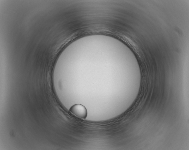 X0000113300405200909140949