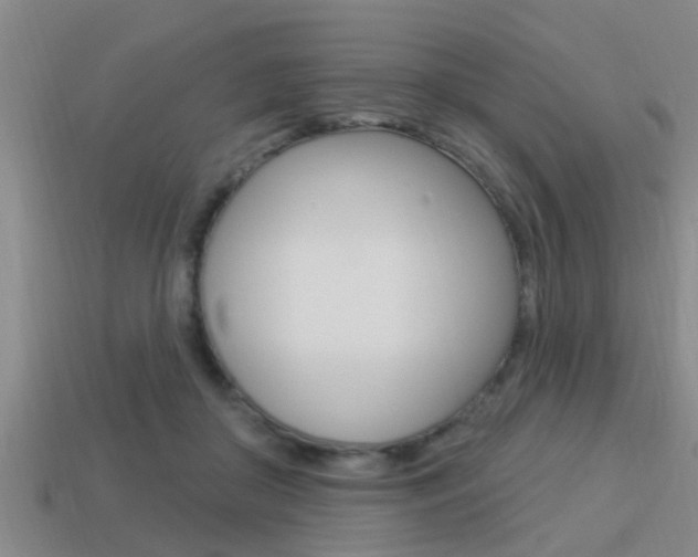 X0000113300410200909140949