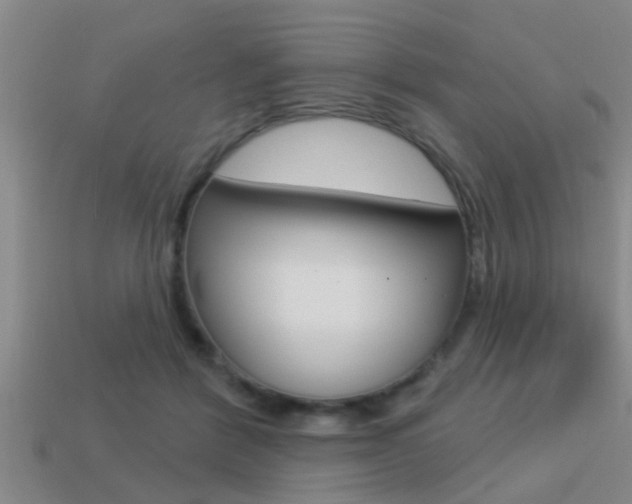 X0000113300412200909140949