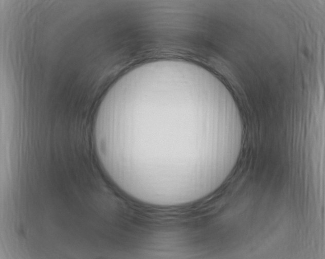 X0000113300415200909140949