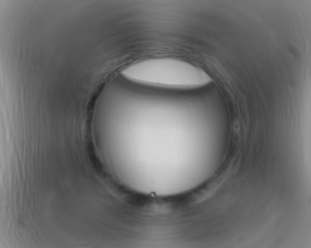 X0000113300416200909140949