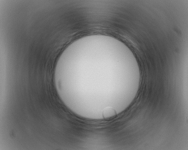 X0000113300417200909140949