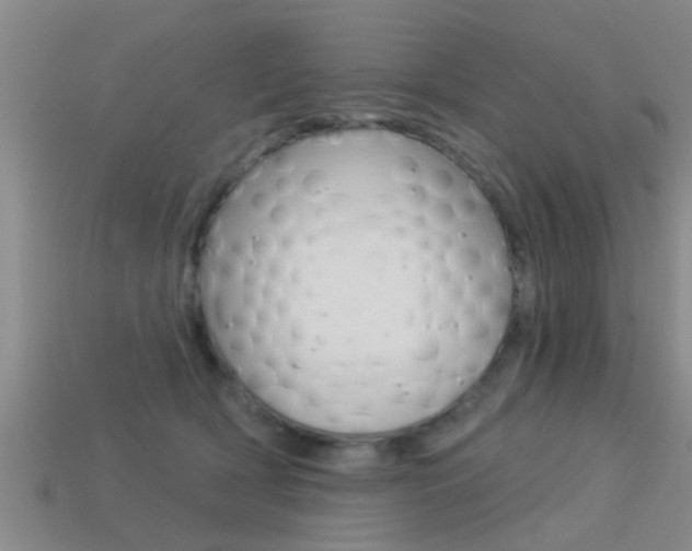 X0000113300418200909140949