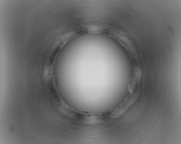 X0000113300419200909140949