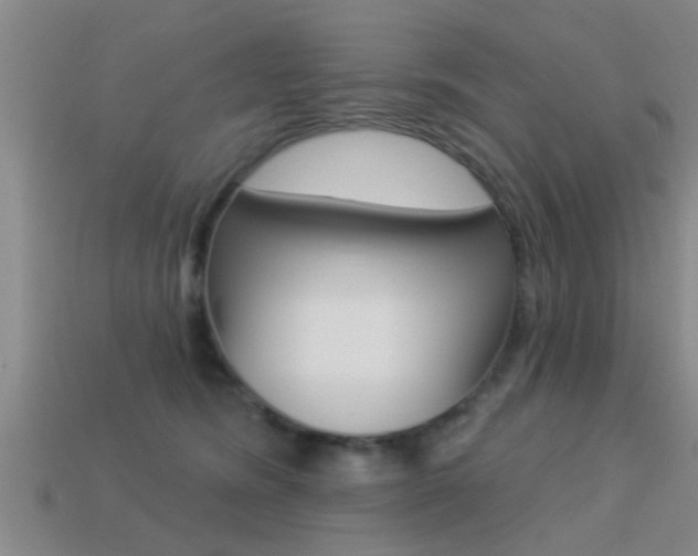 X0000113300420200909140949