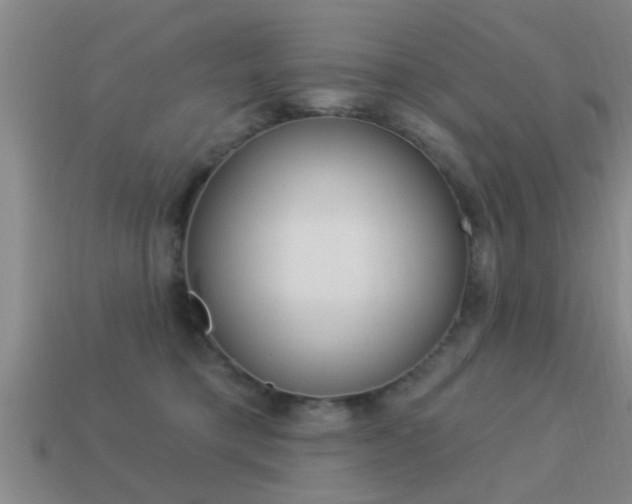 X0000113300421200909140949