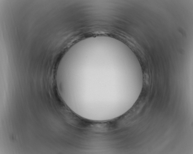 X0000113300422200909140949
