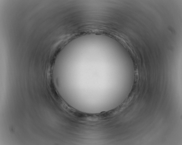 X0000113300423200909140949