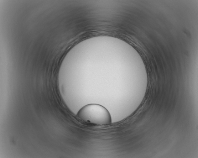 X0000113300425200909140949
