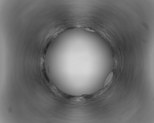 X0000113300427200909140949