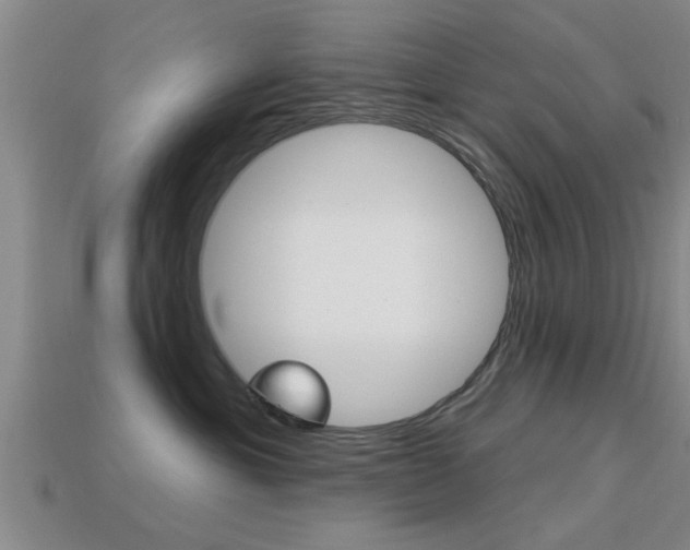 X0000113300429200909140949