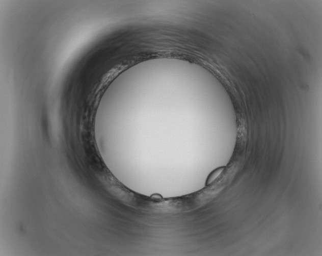 X0000113300430200909140949